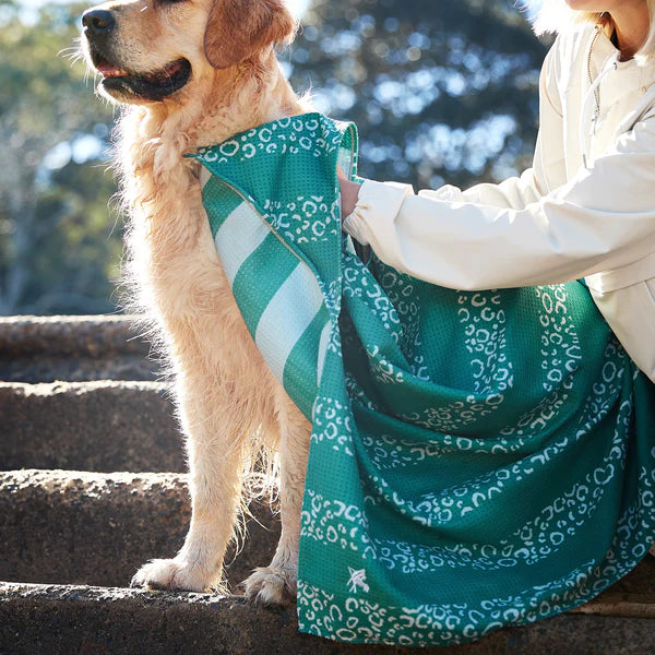 Quick Dry Pet Towel