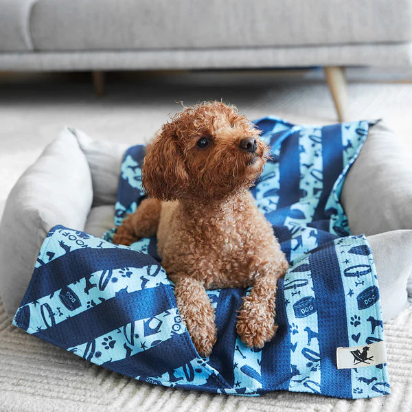 Quick Dry Pet Towel