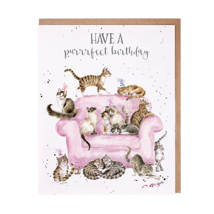 A Purrrfect Day