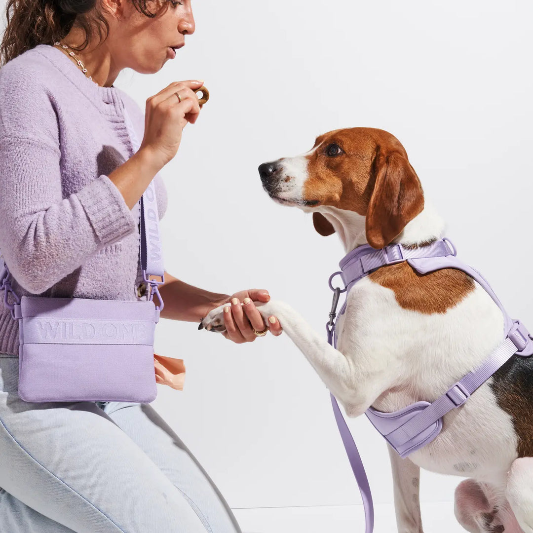 Recycled Knit Eco 2-ways Treat Pouch