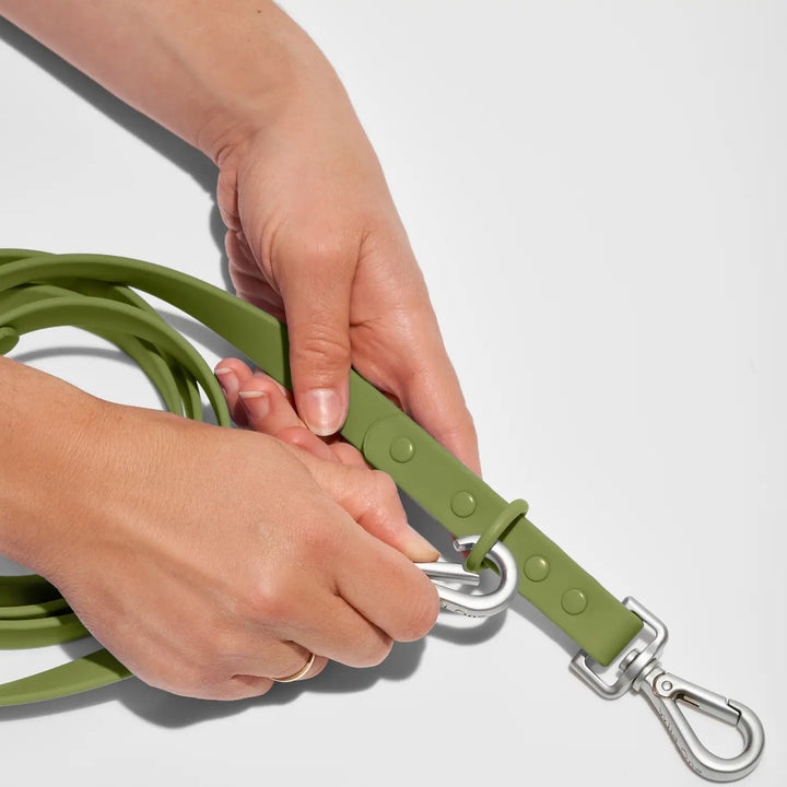 Adjustable Dog Leash