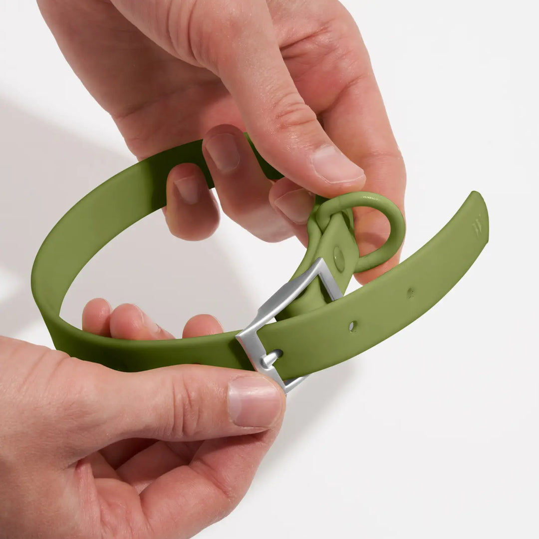 Adjustable Dog Collar