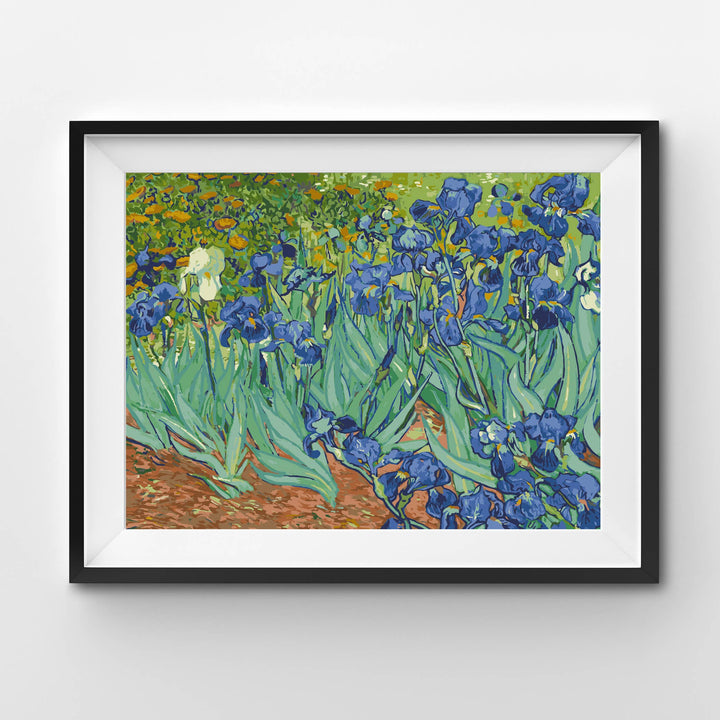 Irises Paint by Numbers