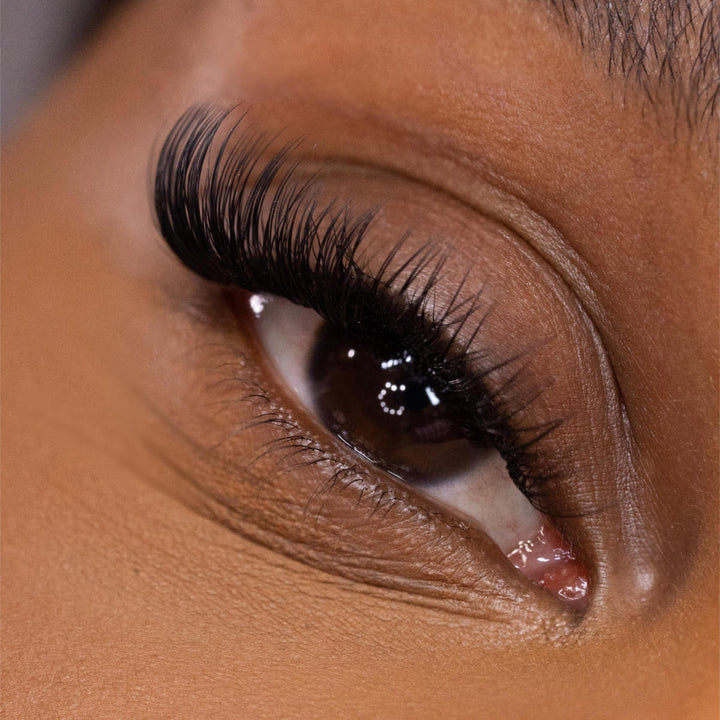 Moderate Cat Eye Lash