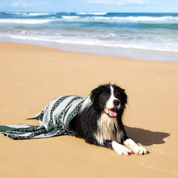 Quick Dry Pet Towel