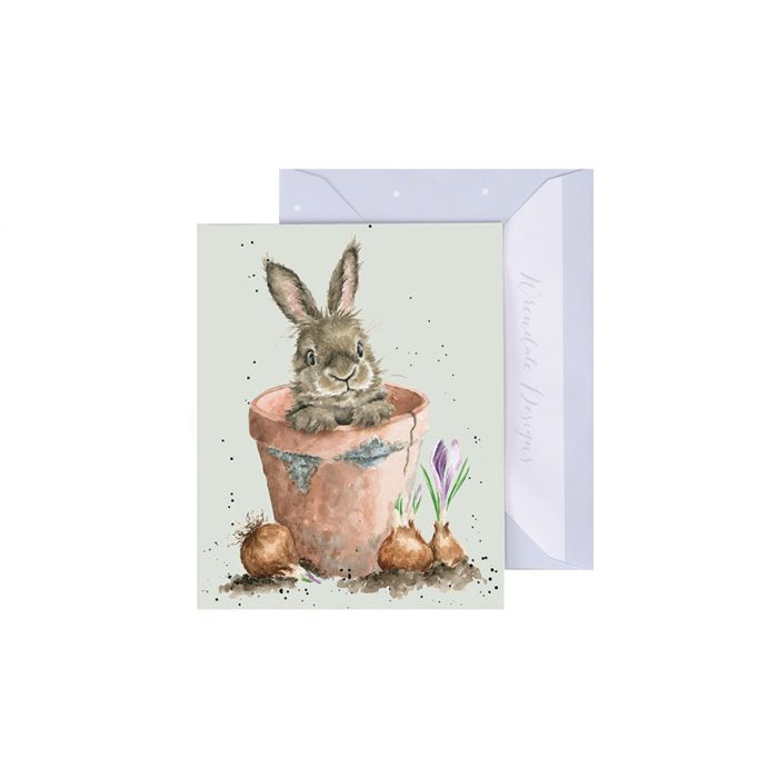 The Flower Pot