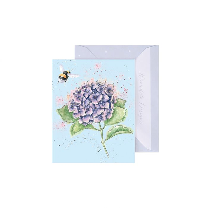 Hydrangea