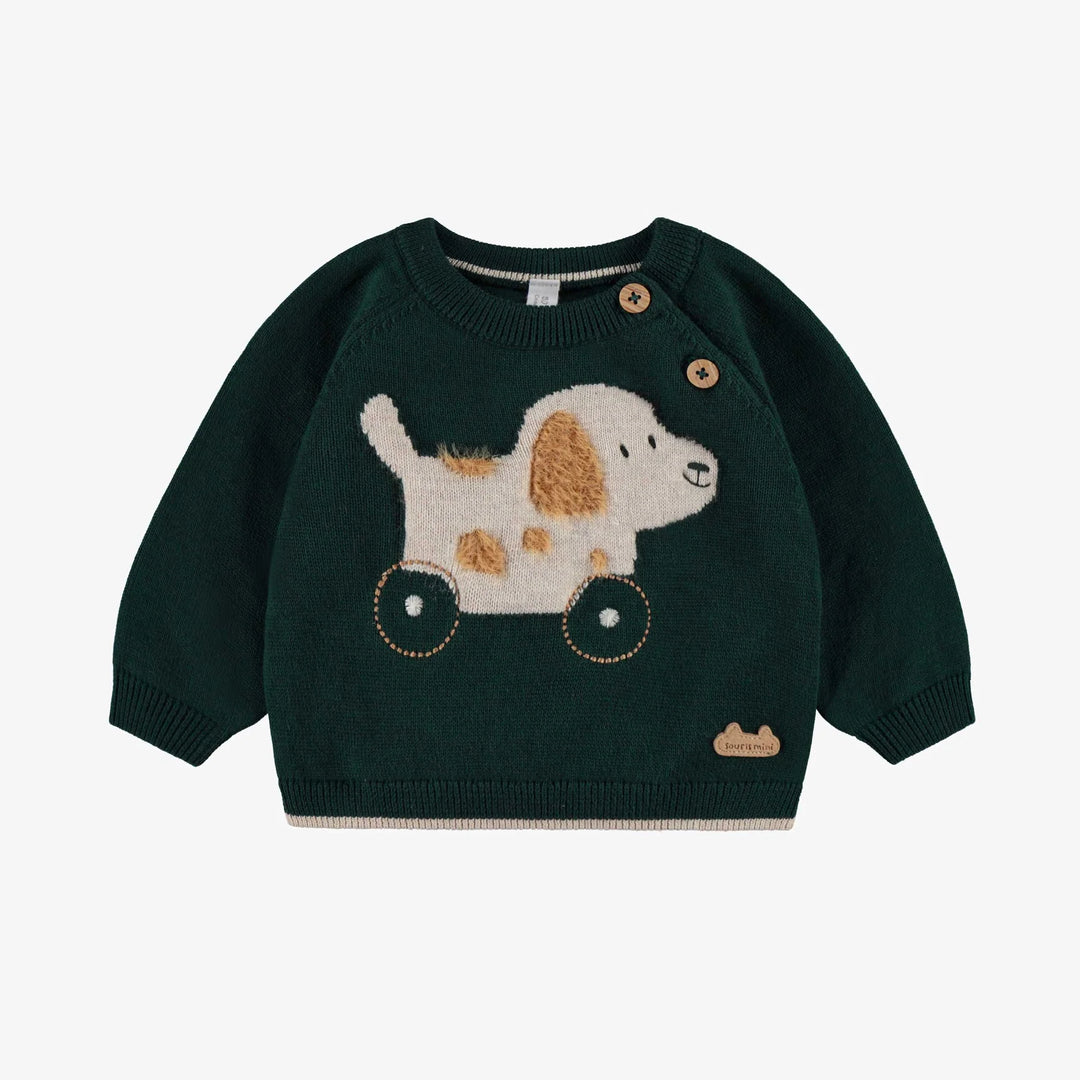 Doggy Sweater