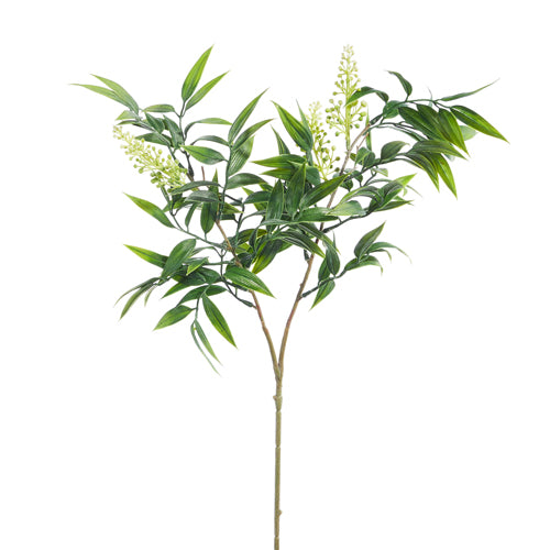 Willow Branch