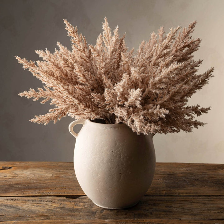 Pampas Grass Bundle