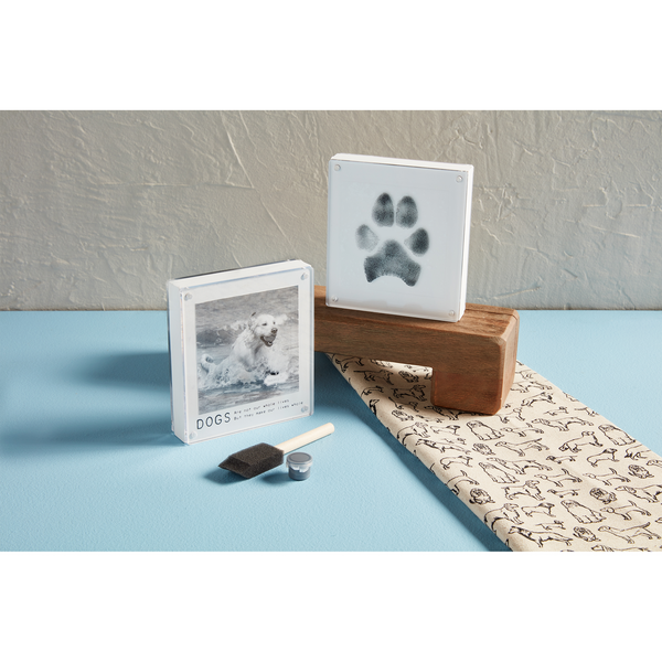 Acrylic Paw Print Frame Kit
