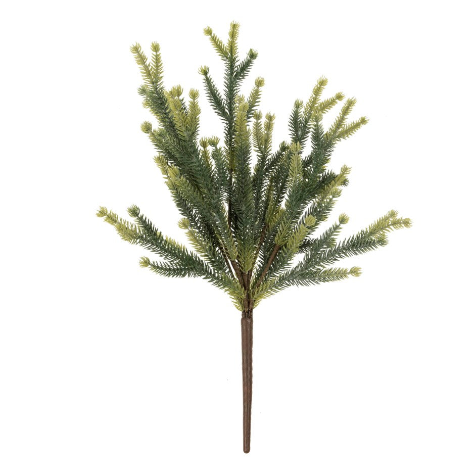 Pine Sprig