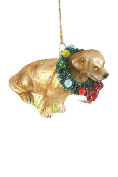 Festive Yellow Lab