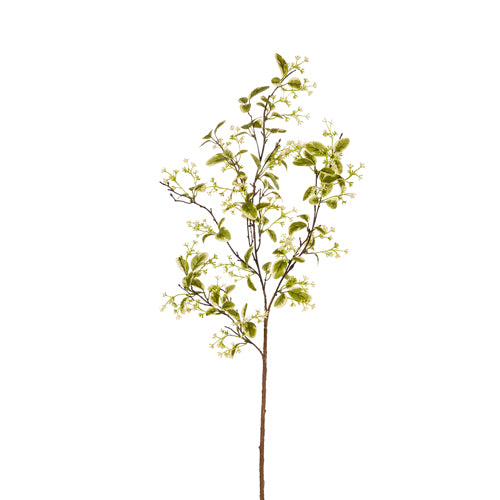 Greenery Branch