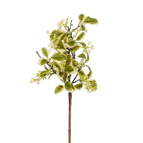 Variegated Leaf Pick