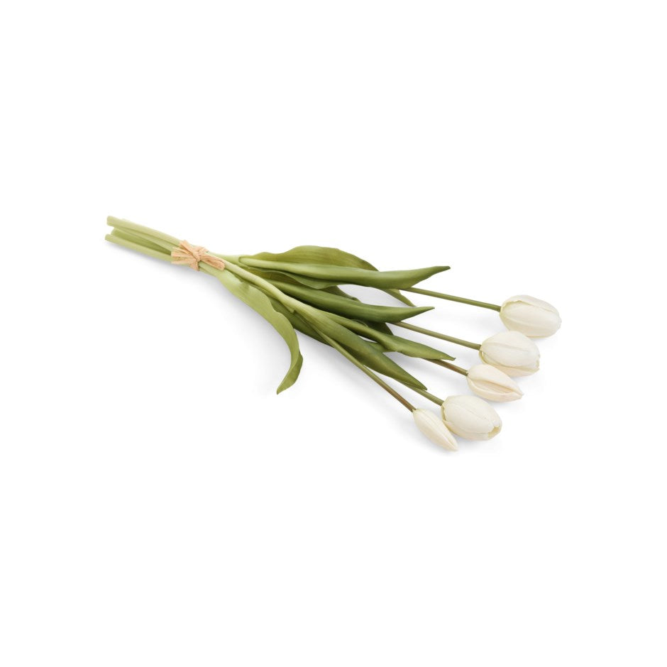 Tulip Bundle