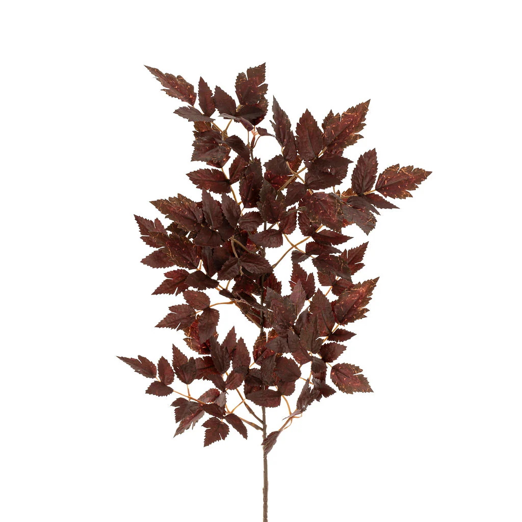 Large Plum Tree Branch