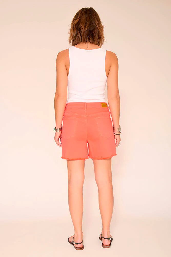 The Playa Shorts