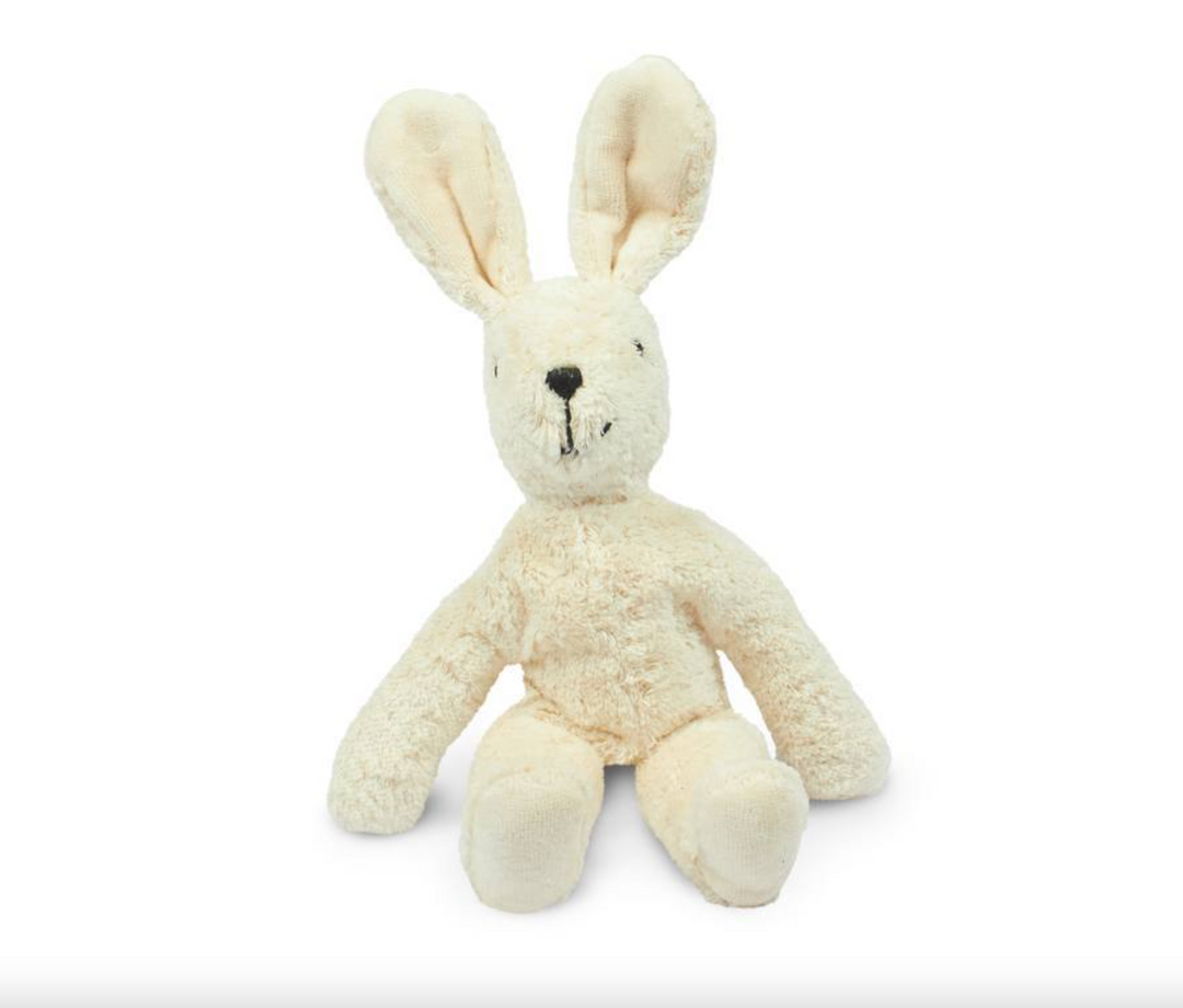 Floppy Rabbit