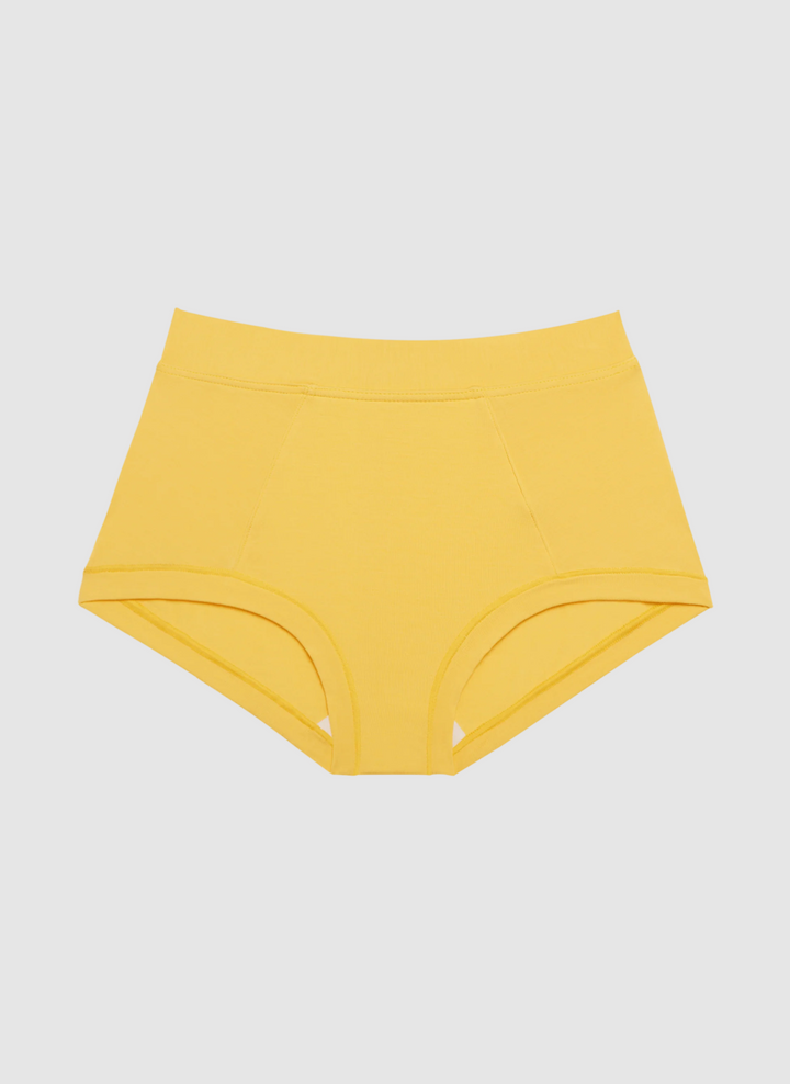 Brief