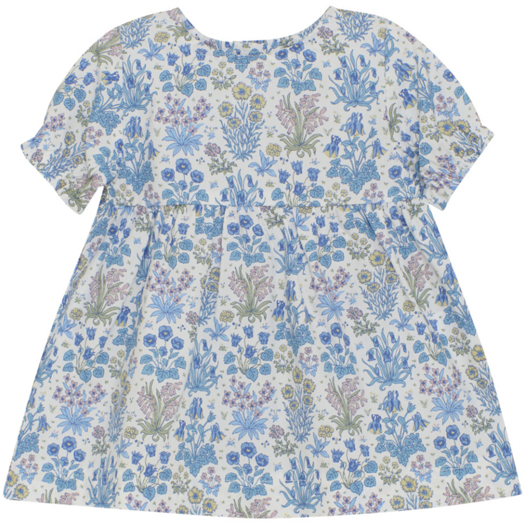 Liberty Dress
