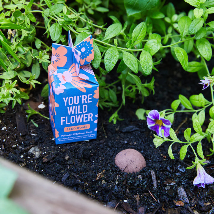 You're Wild Flower Seed Bomb