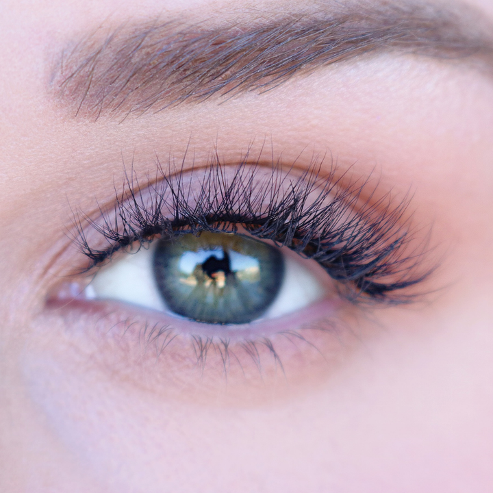 Halley Supernatural Lash