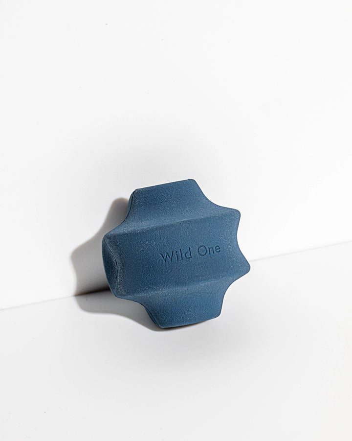 Twist Toss Treat Dispensing Dog Toy