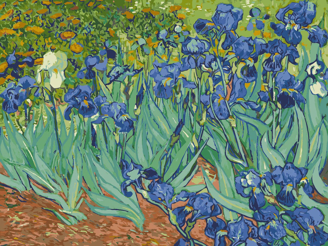 Irises Paint by Numbers