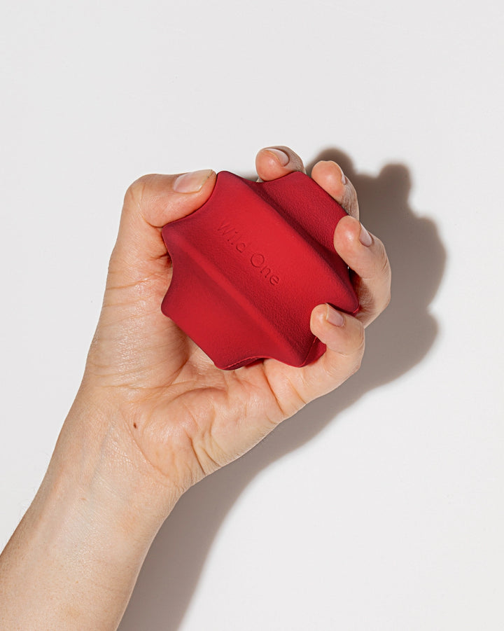 Twist Toss Treat Dispensing Dog Toy