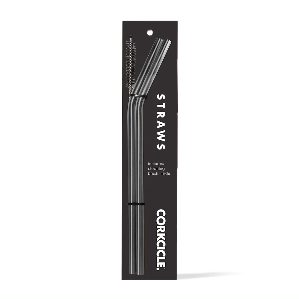 Tumbler Straw 2-Pack