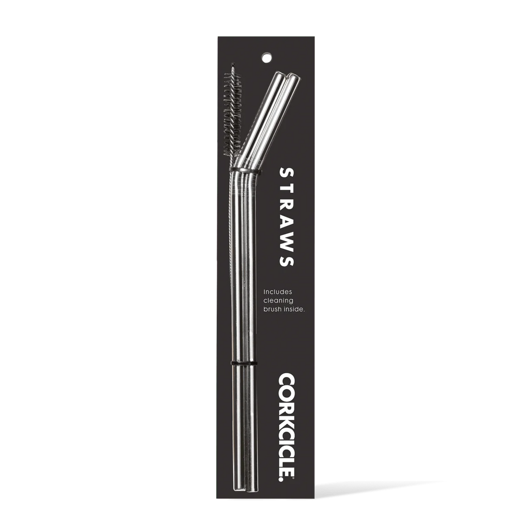 Tumbler Straw 2-Pack