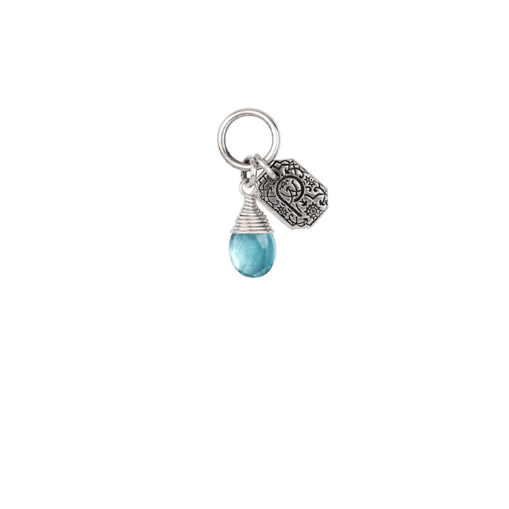 Signature Attraction Charm