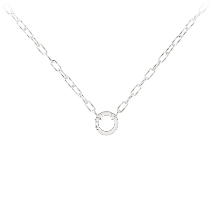 Small Paperclip Chain With Talisman Clip