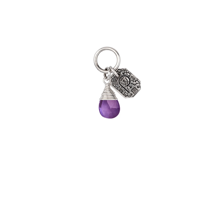 Signature Attraction Charm