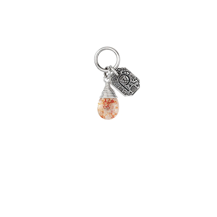Signature Attraction Charm
