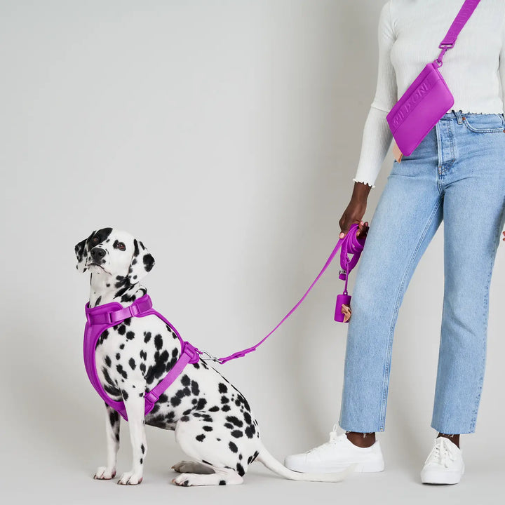 Adjustable Dog Leash