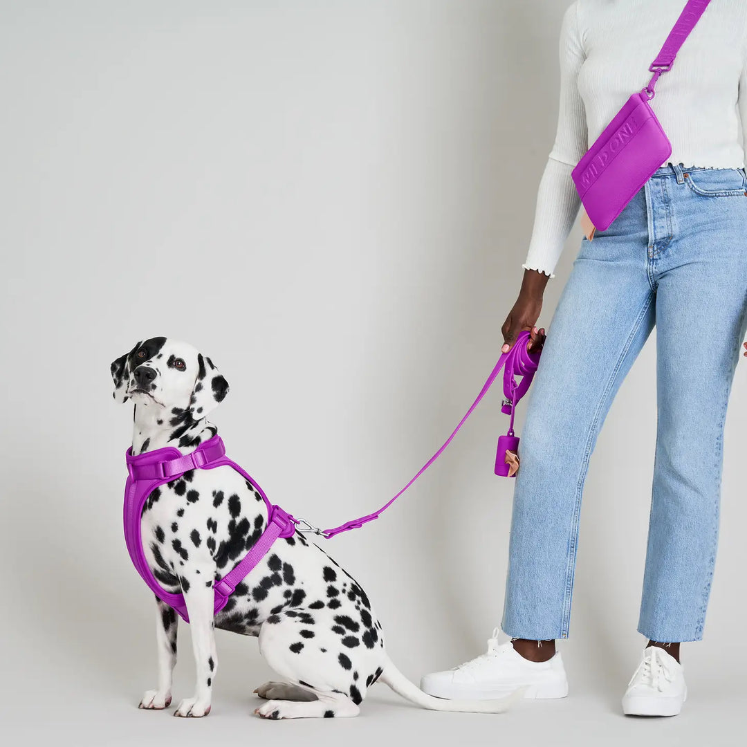 Adjustable Comfort Dog Harness