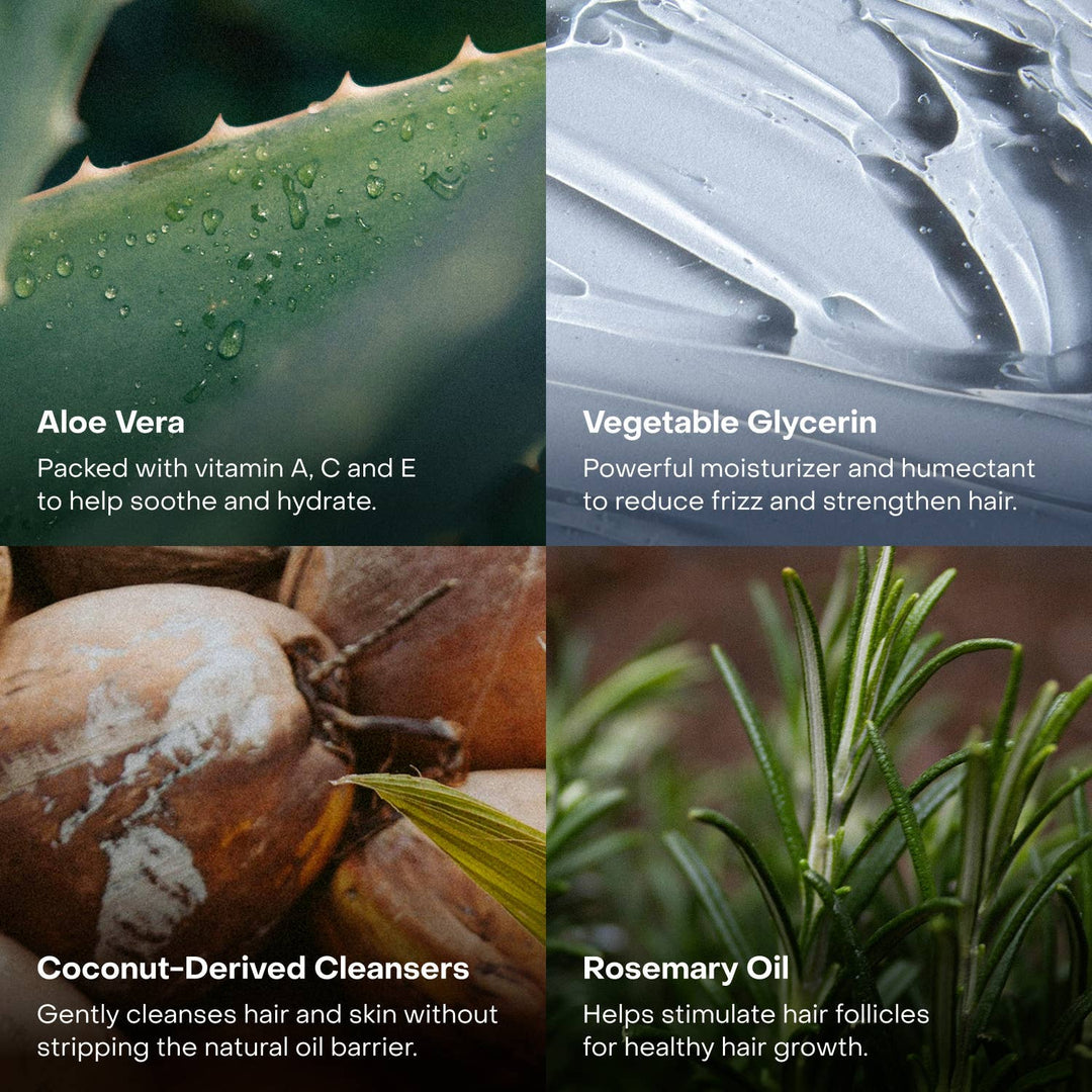 The Shampoo Concentrate