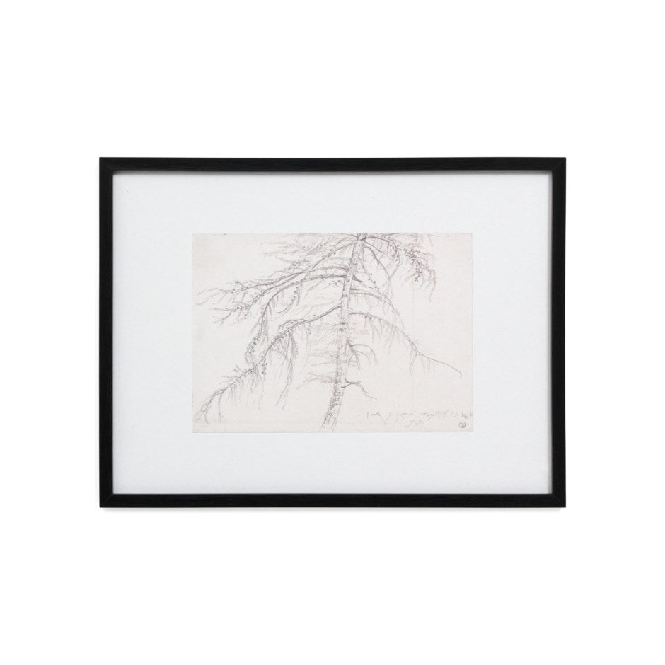 Framed Tree Sketch