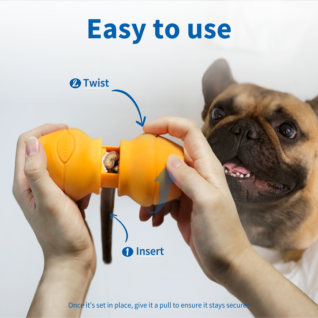 Safe Chew Holder – Standard