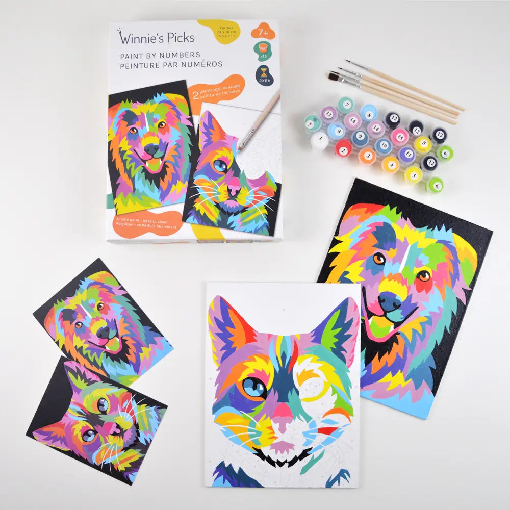 Cat & Dog - Diy Paint By Numbers Kit