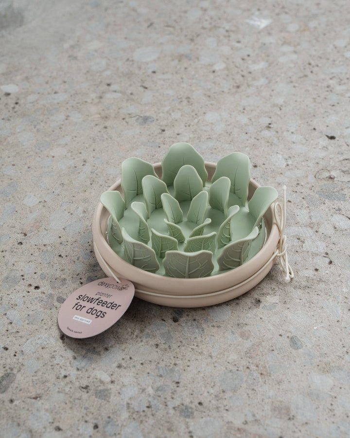 Planter Slow Feeder