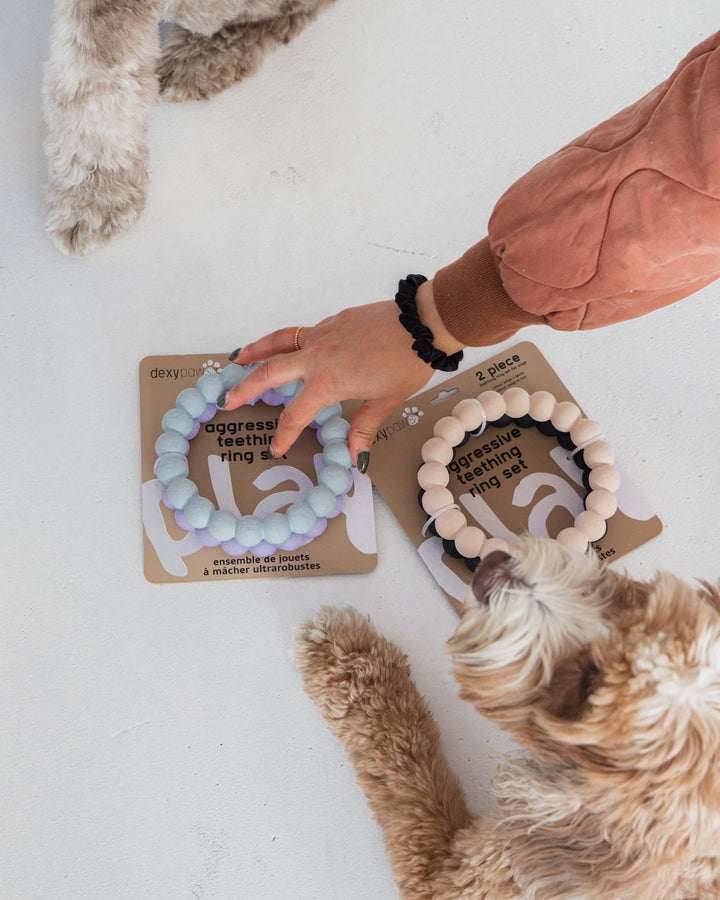 Ring Aggressive Chew Toy Set