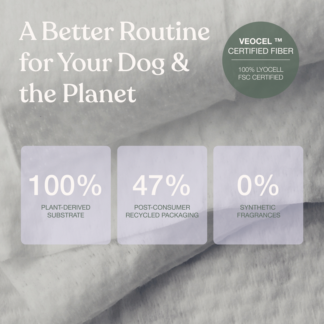 Gentle Cleanse Dog Wipes (Pack of 30)