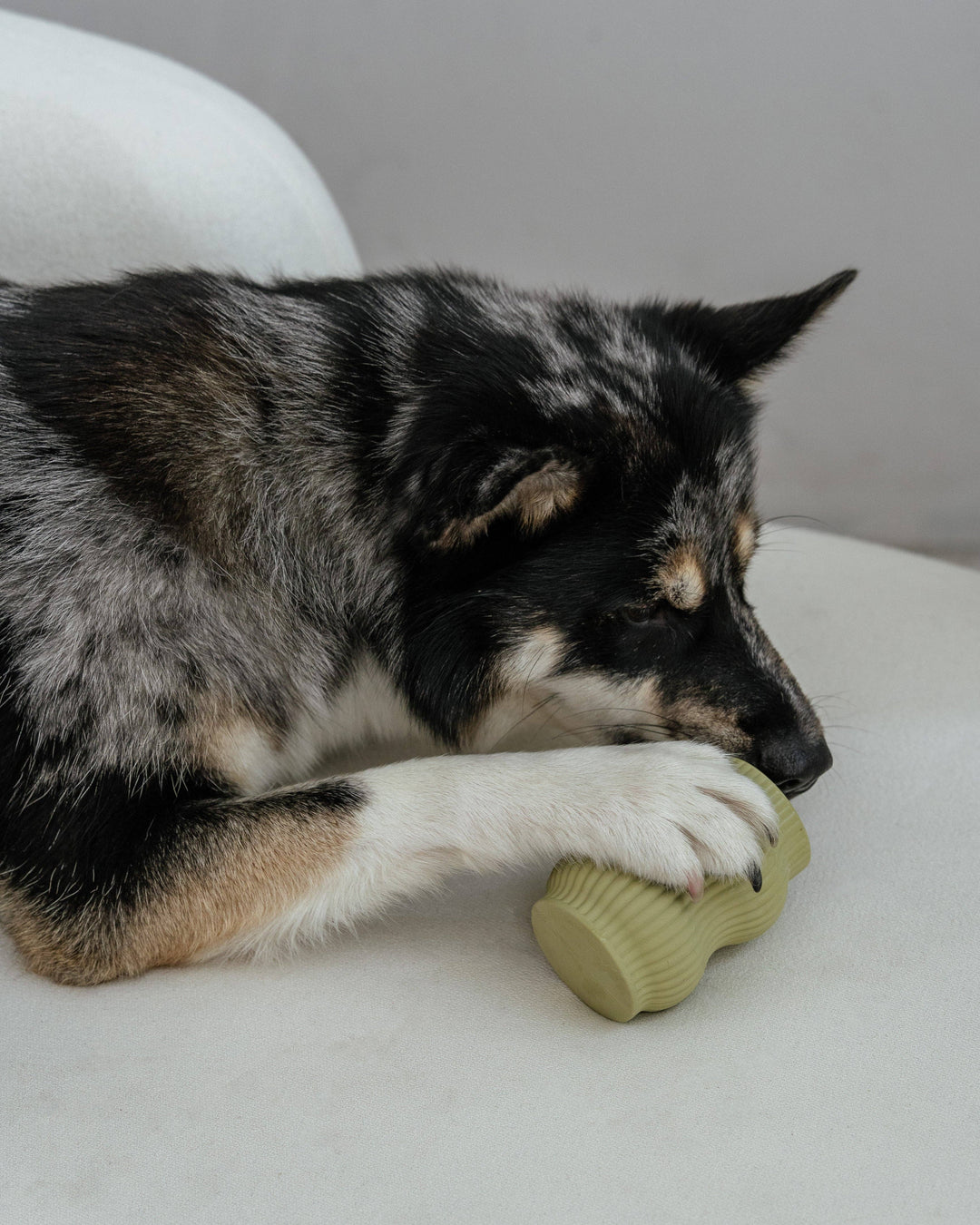 Aggressive Teething Toy
