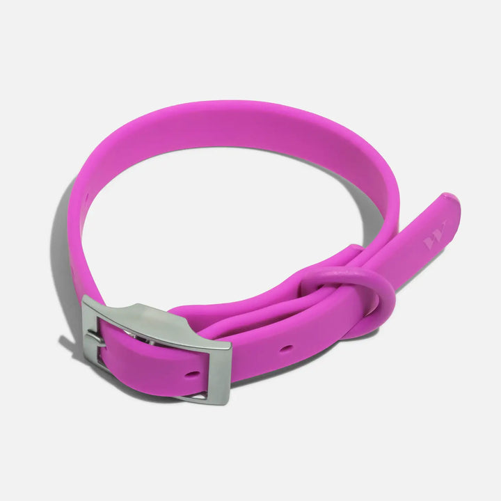 Adjustable Dog Collar