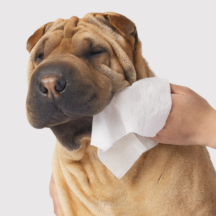 Gentle Cleanse Dog Wipes (Pack of 30)