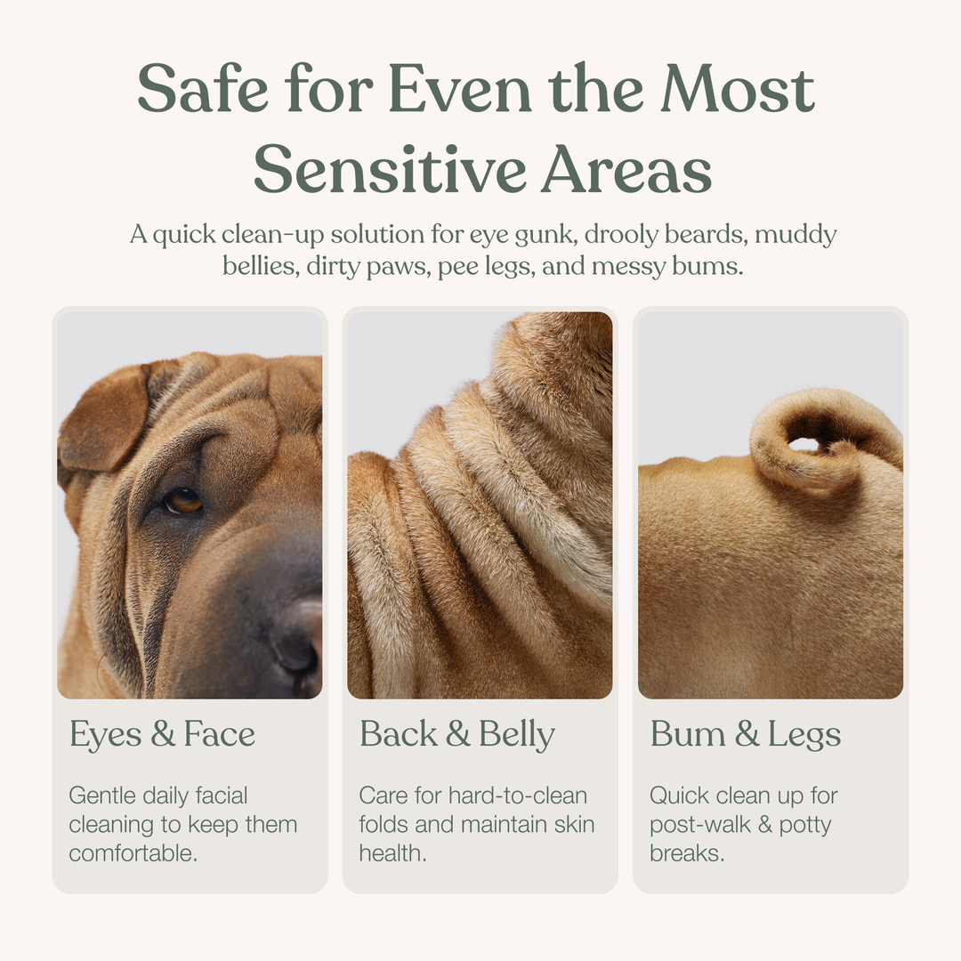Gentle Cleanse Dog Wipes (Pack of 30)