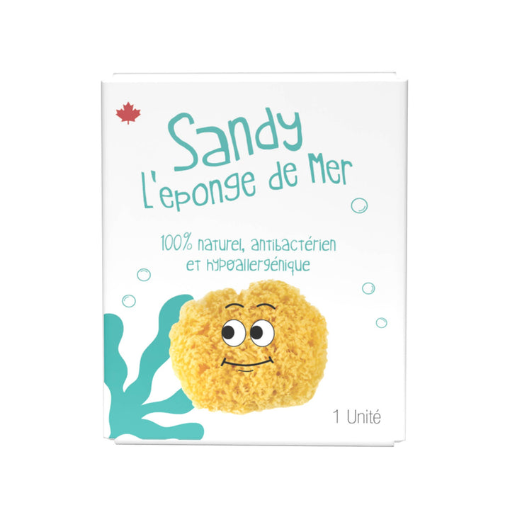 Sandy The Sea Sponge